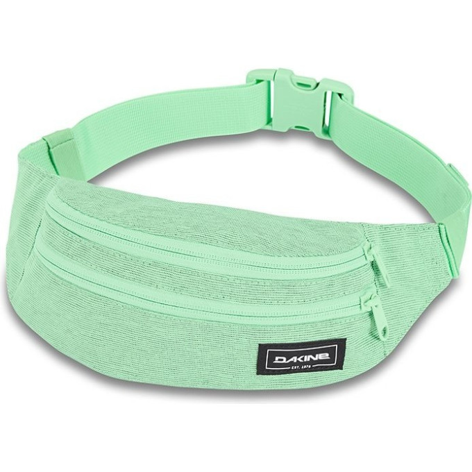 Сумка поясная DAKINE CLASSIC HIP PACK DUSTY MINT 08130205 (0610934345872)