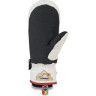 Варежки DAKINE POINTER MITT HCSC RAINBOW Размер S 10001995 (0610934301144)